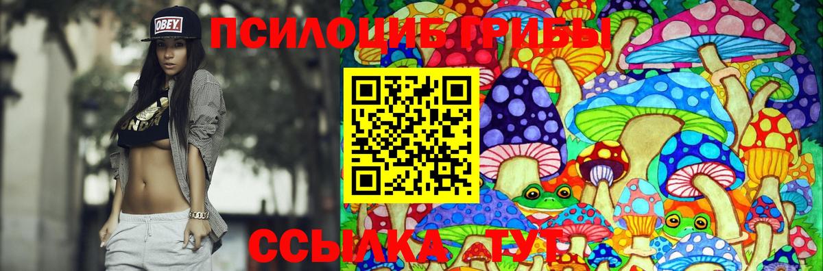 Галлюциногенные грибы прущие грибы Кимры