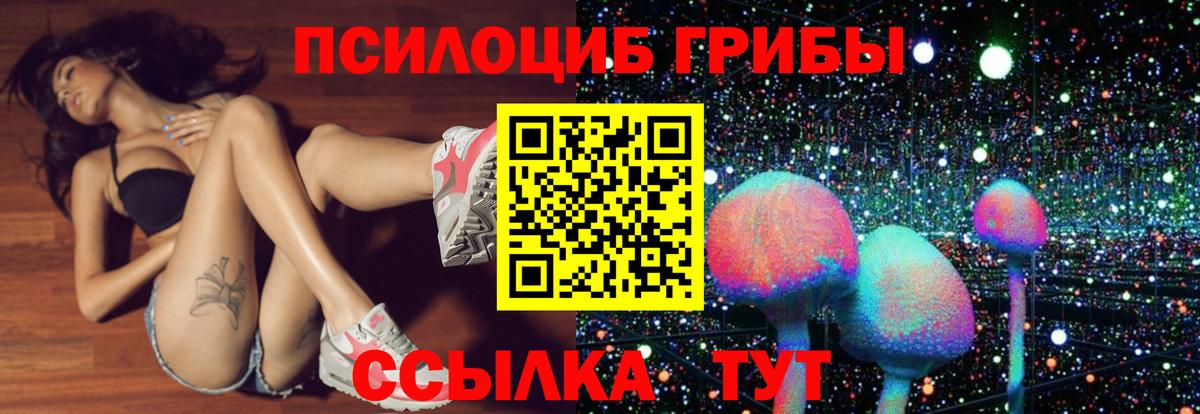 Псилоцибиновые грибы прущие грибы  Вход с VPN  цены   Галлюциногенные грибы Psilocybine cubensis  Кимры 